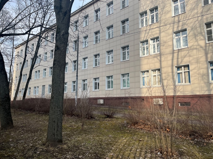 ��������: �������� mAmont